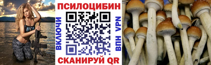 Галлюциногенные грибы прущие грибы  площадка формула  Белинский 
